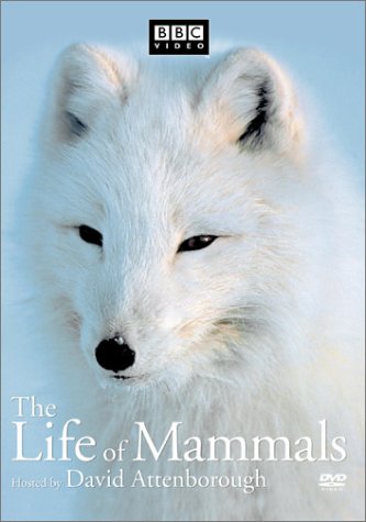The Life of Mammals, Vol. 2 [DVD] used book depot