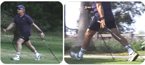 Nordic Walking - The Ultimate Fitness Experience (Instructional DVD) 2013 used book depot