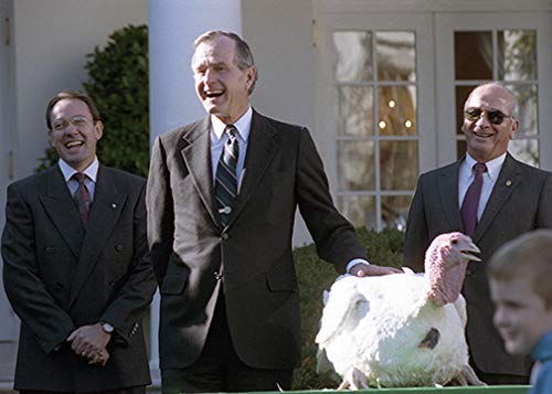 Entertaining at the White House - Decades of Presidential Traditions used book depot