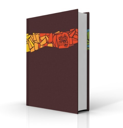 Spark Bible NRSV used book depot