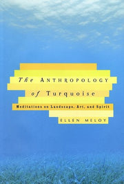 The Anthropology of Turquoise: Meditations on Landscape, Art, and Spirit used book depot