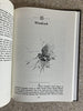 The Wildfowlers Quest  Forty Years of Wandering With Americas Foremost Wildfowler Reiger, George