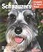 Schnauzers: Everything About Purchase, Care, Nutrition, and Diseases Complete Pet Owners Manual Frye, Fredric L