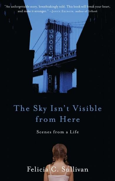 The Sky Isn't Visible from Here: Scenes from a Life used book depot
