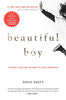 Beautiful Boy: A Fathers Journey Through His Sons Addiction [Paperback] Sheff, David