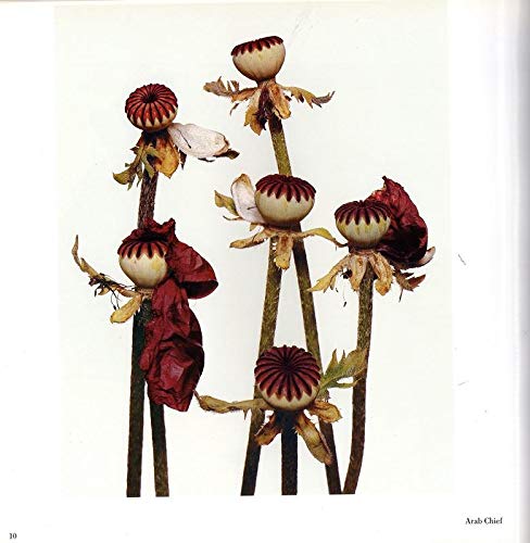 Flowers used book depot