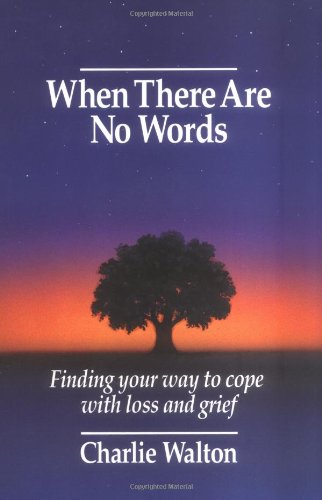 When There Are No Words: Finding Your Way to Cope with Loss and Grief used book depot