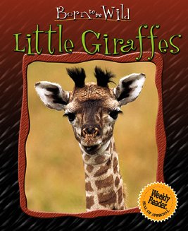 Little Giraffes (Born to Be Wild) used book depot