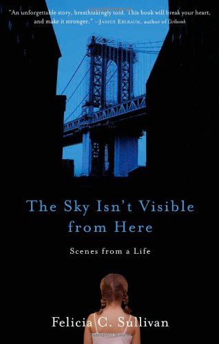 The Sky Isnt Visible from Here: Scenes from a Life Sullivan, Felicia C