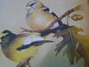 Painting Songbirds with Sherry C. Nelson: 15 Beautiful Birds in Oil