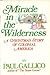 Miracle in the Wilderness: A Christmas Story of Colonial America Gallico, Paul