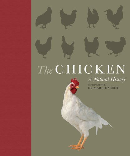 The Chicken: A Natural History used book depot