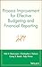 Process Improvement for Effective Budgeting and Financial Reporting