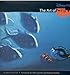 The Art of Finding Nemo