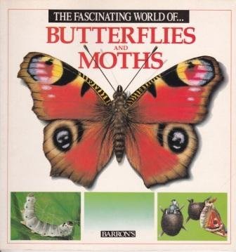 The Fascinating World of Butterflies and Moths used book depot