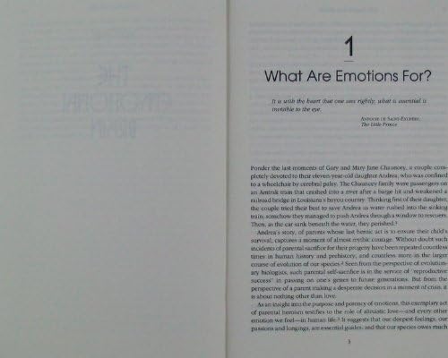 Emotional Intelligence: Why It Can Matter More than IQ used book depot