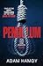 Pendulum [Paperback] Hamdy, Adam