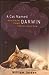 A Cat Named Darwin: How a Stray Cat Changed a Man into a Human Being Jordan, William