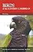 Birds of the Eastern Caribbean Caribbean Pocket Natural History [Paperback] Evans, Peter