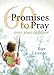 60 Promises to Pray Children Deluxe Lessin, Roy