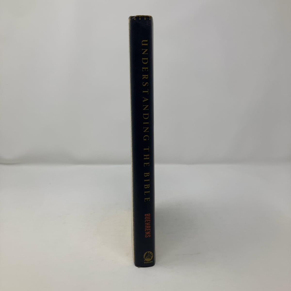 Understanding the Bible: An Introduction for Skeptics, Seekers, and Religious Liberals used book depot