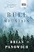 Bull Mountain [Paperback] Panowich, Brian