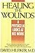 HEALING THE WOUNDS [Hardcover] Hilfiker MD, David