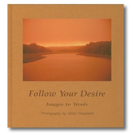 Follow Your Desire: Images to Words
