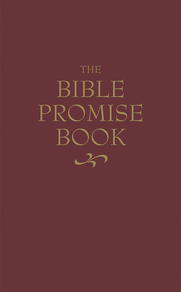 The Bible Promise Book - KJV used book depot
