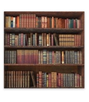 Underfoot: An Everyday Guide to Exploring the American Past used book depot