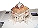 The Architecture Pack : A Unique, Three-Dimensional Tour of Architecture over the Centuries : What Architects Do, How They Do It
