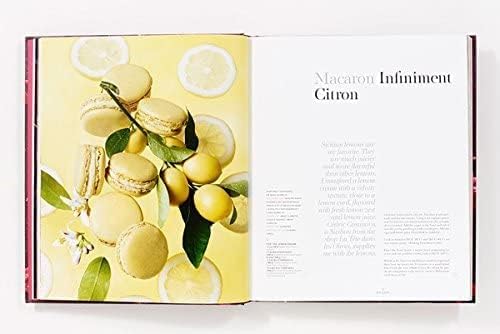 Pierre Hermé Macaron: The Ultimate Recipes from the Master Pâtissier used book depot