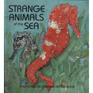 Strange Animals of the Sea used book depot