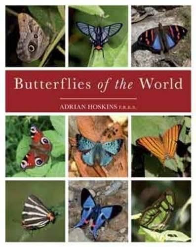 Butterflies of the World used book depot