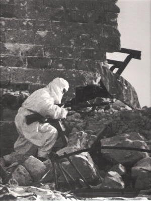 Red Army Resurgent (World War II Series) used book depot
