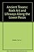 Ancient Texans: Rock Art and Lifeways Along the Lower Pecos Shafer, Harry J and Zintgraff, Jim