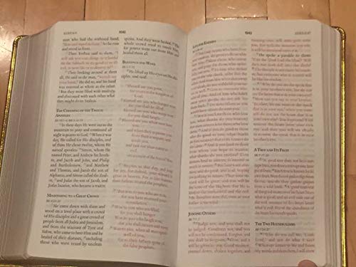 THE SUPERNATURAL BIBLE - TSB - MODERN ENGLISH VERSION (Leather Bound) used book depot