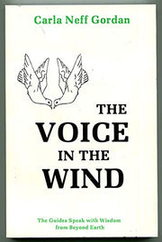 The Voice in the Wind used book depot