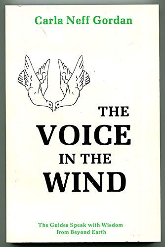The Voice in the Wind used book depot