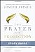 The Prayer of Protection Study Guide: Living Fearlessly in Dangerous Times [Paperback] Prince, Joseph