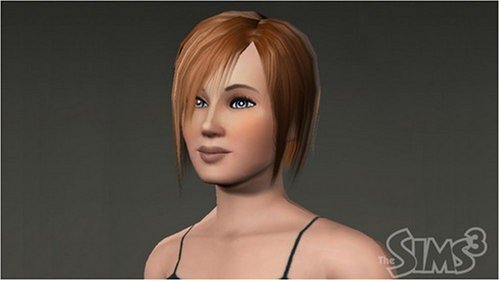 The Sims 3 - PC used book depot