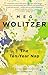 The TenYear Nap [Paperback] Wolitzer, Meg