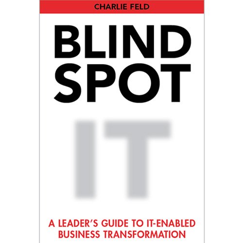Blind Spot: A Leader's Guide To IT-Enabled Business Transformation used book depot