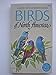 Birds of North America: A Guide To Field Identification Chandler S Robbins
