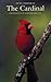 The Cardinal Corrie Herring Hooks Series Osborne, June and Garland, Barbara