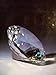 Swarovski: The Magic of Crystal
