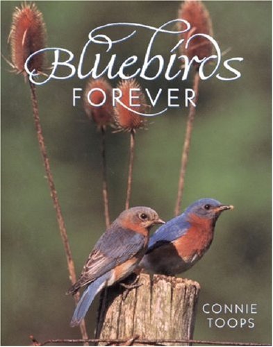 Bluebirds Forever [Hardcover] Toops, Connie