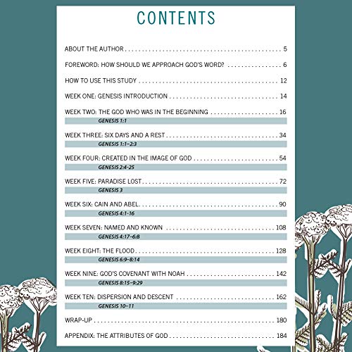 God of Creation - Bible Study Book: A Study of Genesis 1-11 used book depot