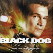 Black Dog used book depot