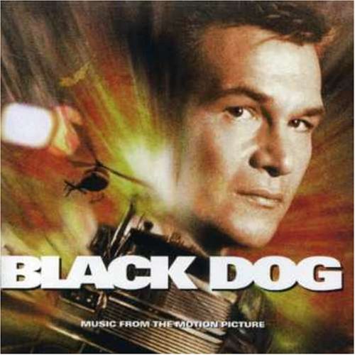 Black Dog used book depot